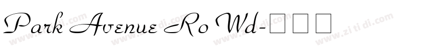 Park Avenue Ro Wd字体转换